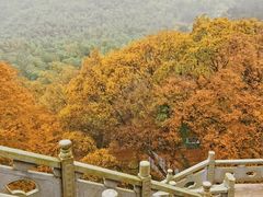 -南京市无想山景区