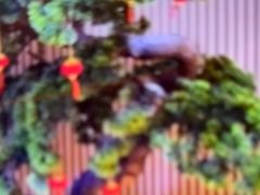 -尚荟汤泉生活馆
