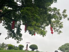 -广州莲花山旅游区