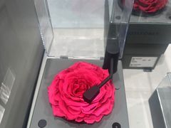 -ROSEONLY诺誓(国际广场购物中心店)
