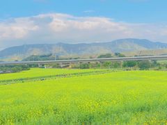 -光明小镇欢乐田园