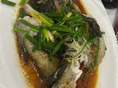 -盈田盈粥庄(博山东路店)