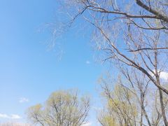-哈尔滨师范大学(松北校区)