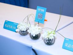 -上海新发展亚太JW万豪酒店