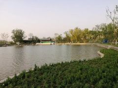 -西海子公园