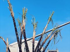 -文峰大世界(如皋店)