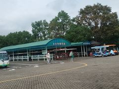 -上海海湾国家森林公园