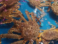 -盒马鲜生(悦峰店)