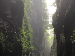 -武陵山森林公园