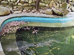 iphone_upload_pic-天明山温泉大酒店