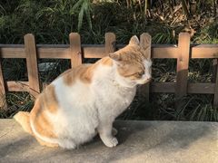 -西园寺素食(西园弄戒幢律寺店)