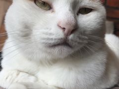 -B.O.M波姆烘焙(凤凰街店)