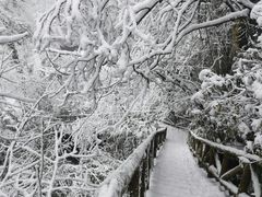 -龙苍沟森林公园