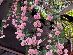 -小仙居·农家宴烤羊· 农庄