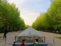 -玲珑塔公园