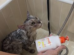 -小呆的宠物店·宠物售卖·宠物寄养(城西店)