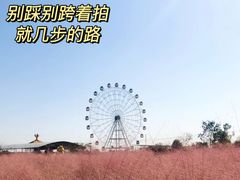 -金卉庄园