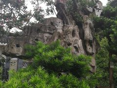 -老幺泉水鸡