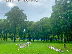 -万绿园