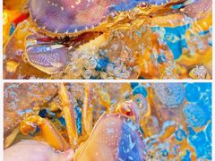 -四川小胡子海鲜(丁村万人海鲜广场店)