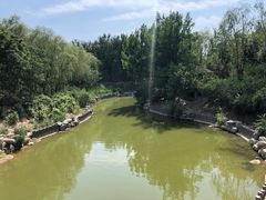 -大兴滨河森林公园