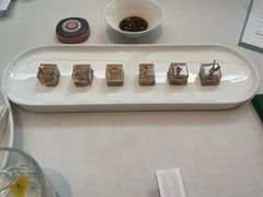 -梧桐