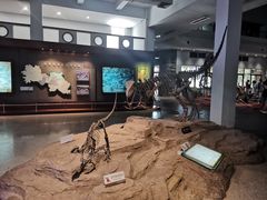 -自贡恐龙博物馆