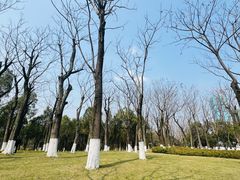 -重庆中央公园(渝北区)