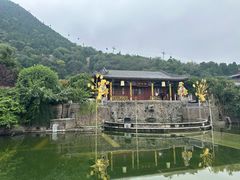 -华清宫景区
