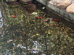 -耶里夏丽·丝路新疆菜·清真食品(徐汇南丹东路臻选店)
