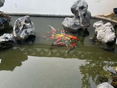 -道南書院·私房菜·早午茶·茶馆