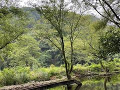 -磐安十八涡风景区