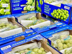 -山姆会员商店(亦庄创意生活广场店)