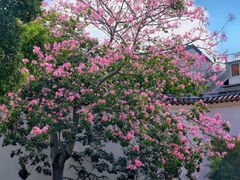 -广州西关永庆坊旅游区