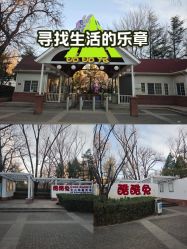 -酷酷兔少儿拓展天地