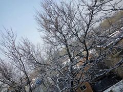 -北京邮电会议中心