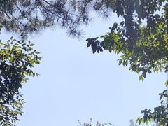 -二斗栗子(黄河道店)