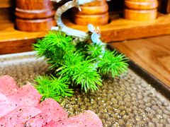 -樱宿日式和牛烧肉(五道口店)