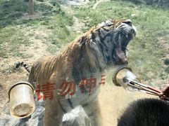 -济南野生动物世界