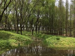 -昆山城市生态森林公园