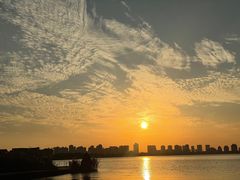 -金鸡湖桃花岛
