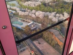 -自然谷恐龙园