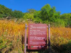 -五女山景区