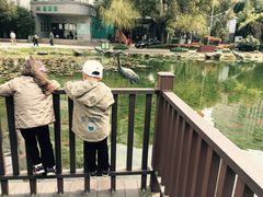 -苏州河梦清园环保主题公园