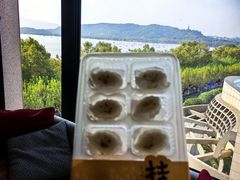 -杭州君悦酒店