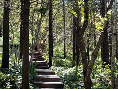 -白草畔自然风景区