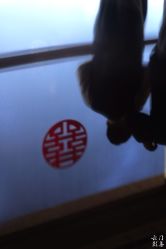 -云门影集(高新店)