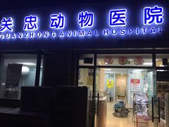 -瑞派·关忠动物医院·猫专科·犬专科(三环新城店)