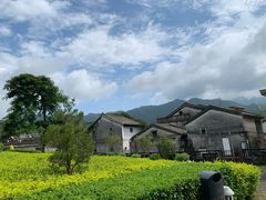 -西涌国际滨海旅游区