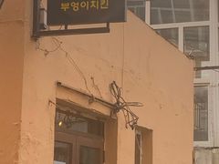 -猫头鹰炸鸡